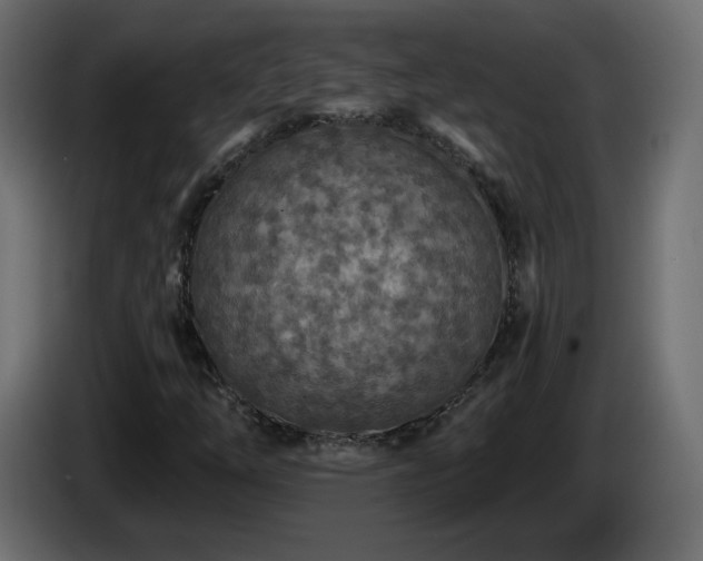 X0000085061254200703051431