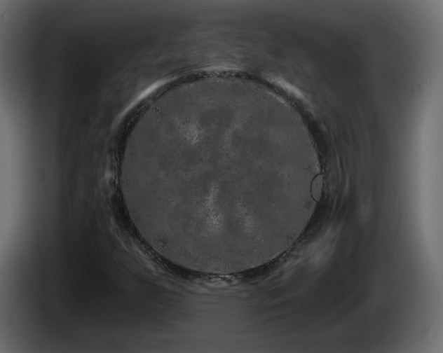 X0000085061255200703051431