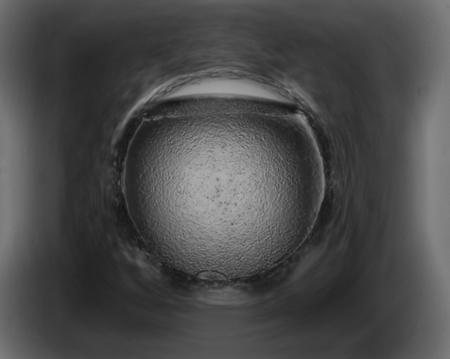 X0000085061256200703051431