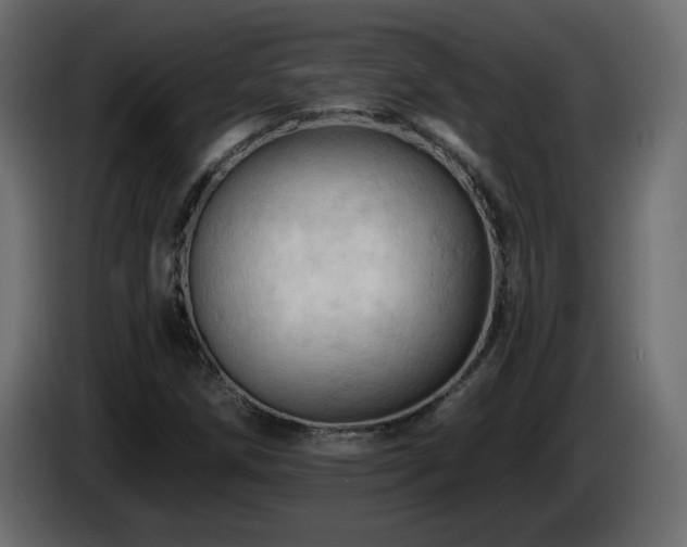 X0000085061258200703051431