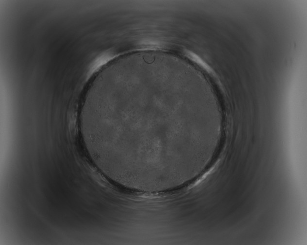 X0000085061259200703051431