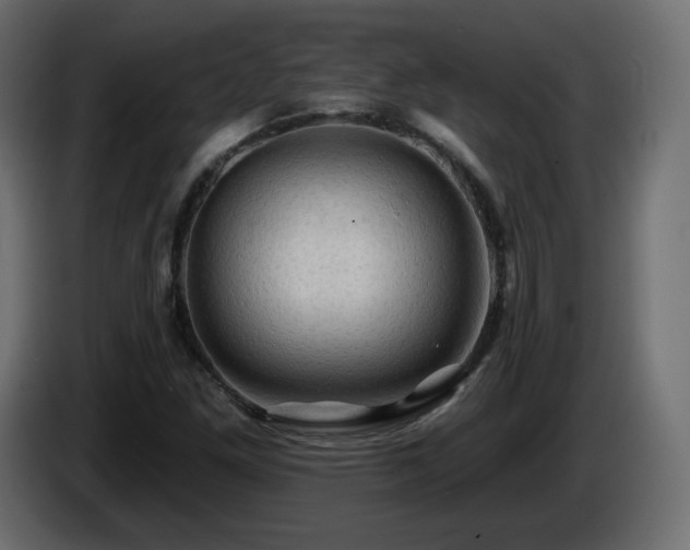 X0000085061261200703051431