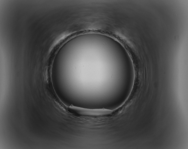 X0000085061262200703051431