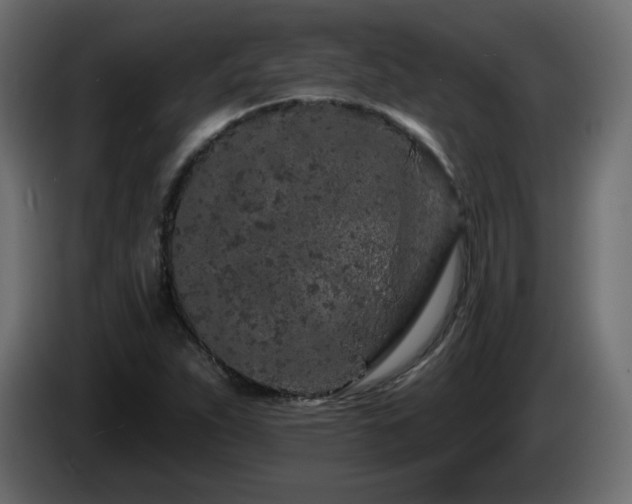 X0000085061263200703051431