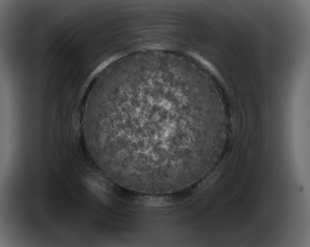 X0000085061266200703051431