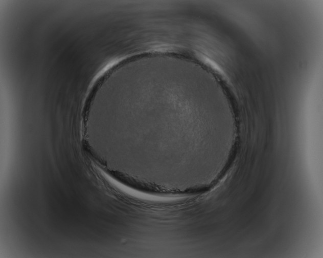 X0000085061267200703051431