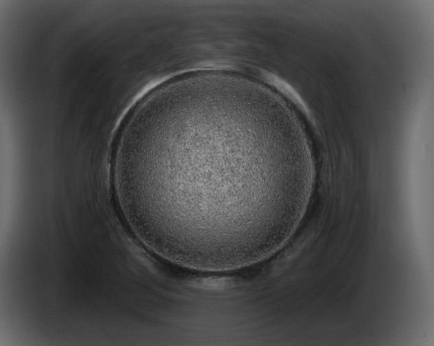 X0000085061268200703051431