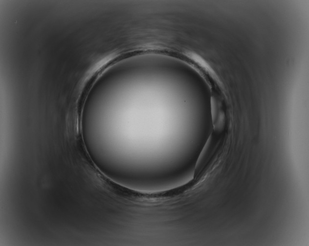 X0000085061269200703051431