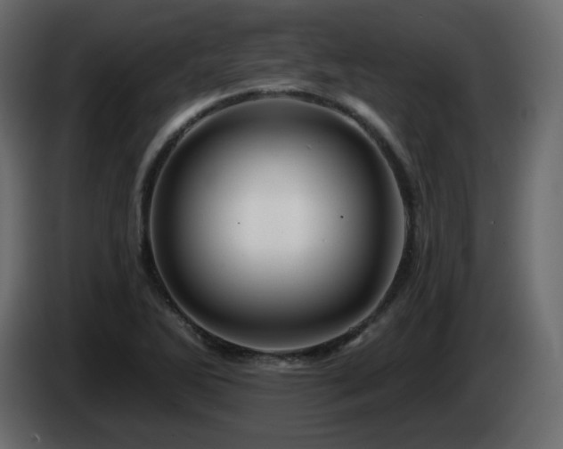 X0000085061270200703051431