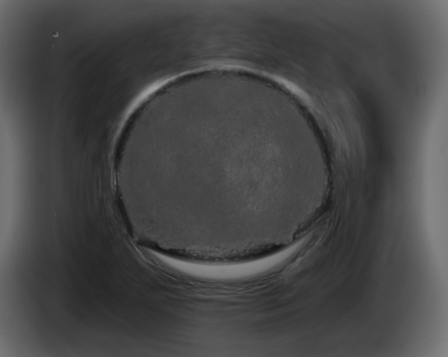 X0000085061271200703051431