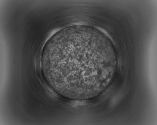 X0000085061274200703051431