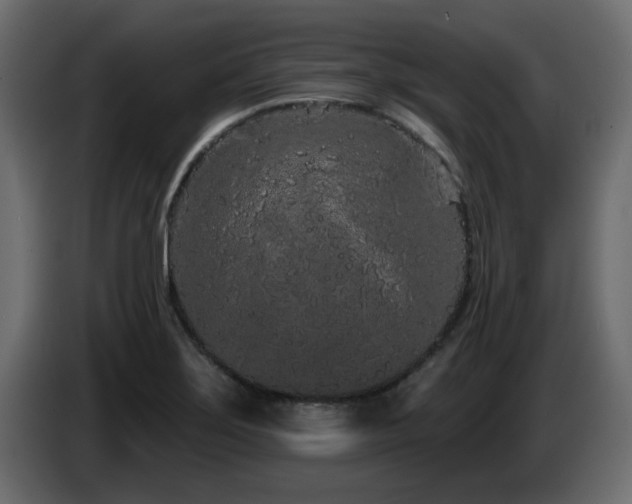X0000085061275200703051431