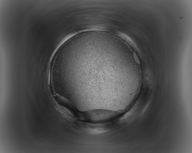 X0000085061276200703051431