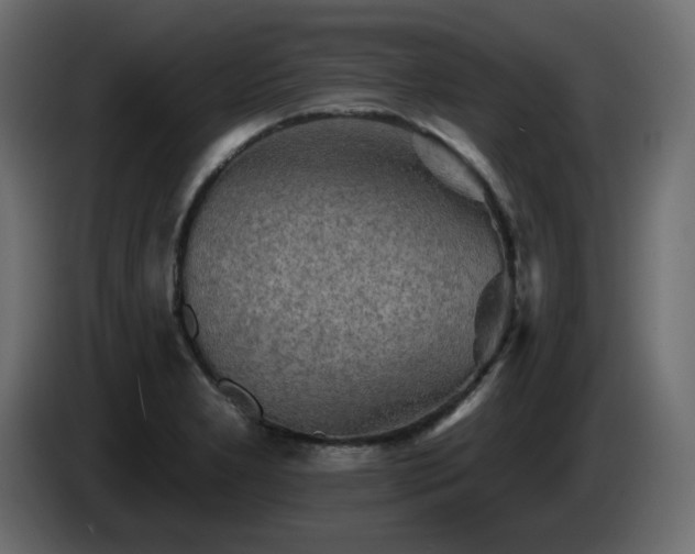 X0000085061277200703051431