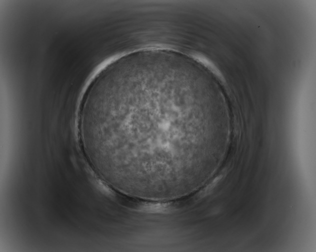 X0000085061278200703051431