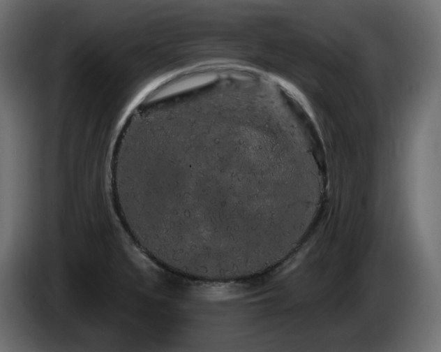 X0000085061279200703051431