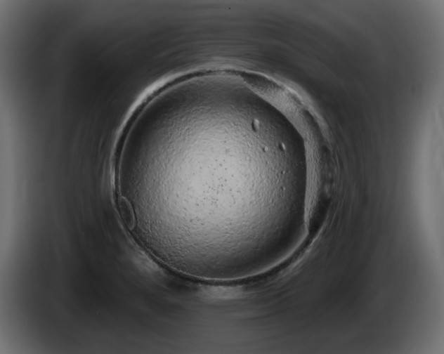 X0000085061280200703051431