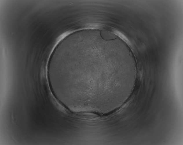 X0000085061283200703051431
