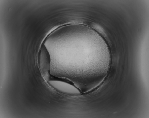 X0000085061284200703051431