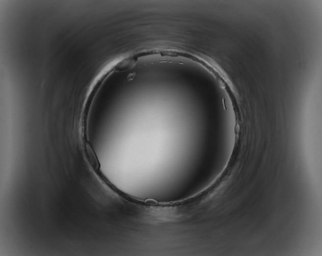 X0000085061285200703051431