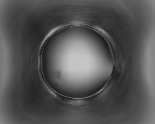 X0000085061286200703051431