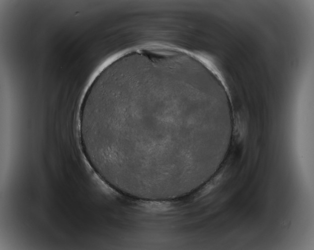 X0000085061287200703051431