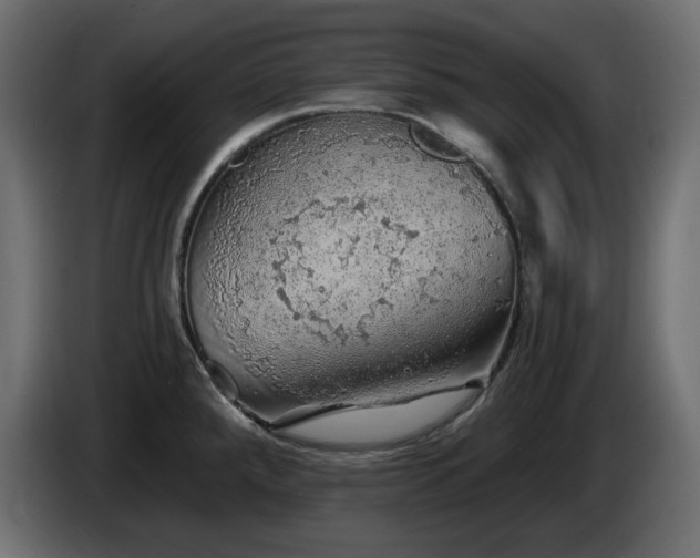 X0000085061288200703051431