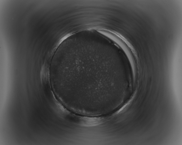 X0000085061289200703051431