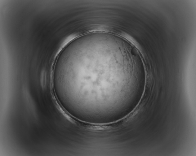 X0000085061290200703051431
