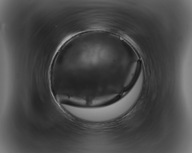 X0000085061291200703051431