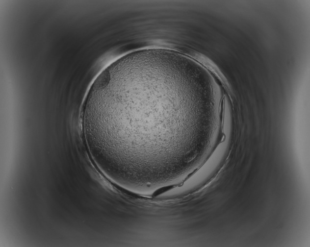 X0000085061292200703051431