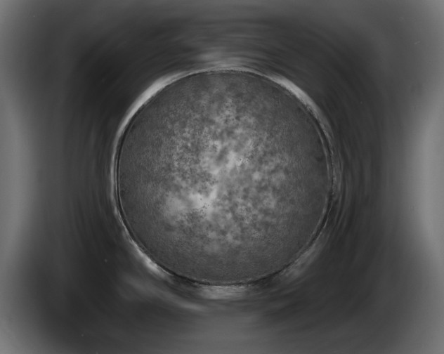 X0000085061294200703051431