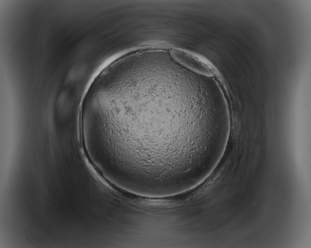 X0000085061295200703051431