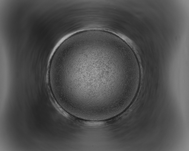 X0000085061296200703051431