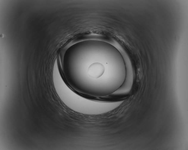 X0000085061298200703051430