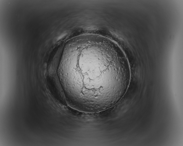 X0000085061301200703051430