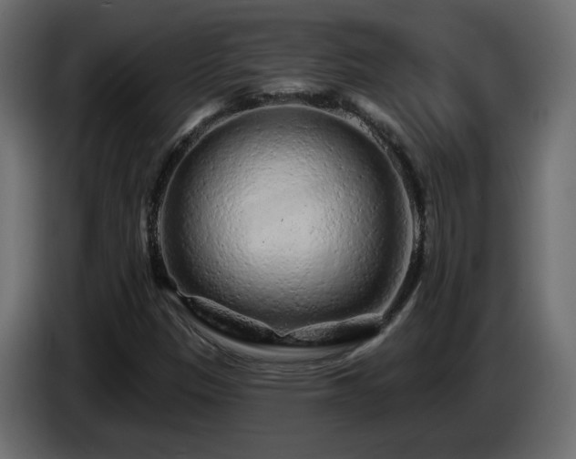 X0000085061305200703051430