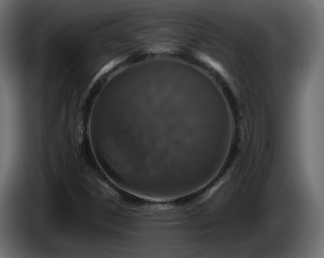 X0000085061306200703051430