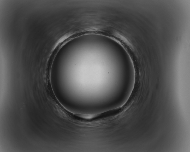 X0000085061308200703051430
