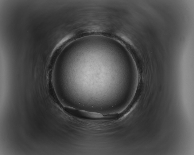 X0000085061309200703051430