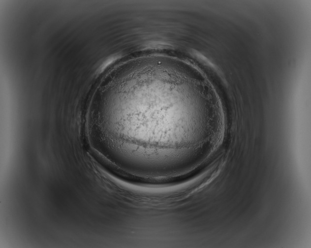 X0000085061313200703051430