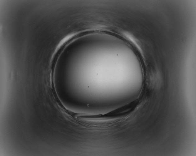 X0000085061320200703051430