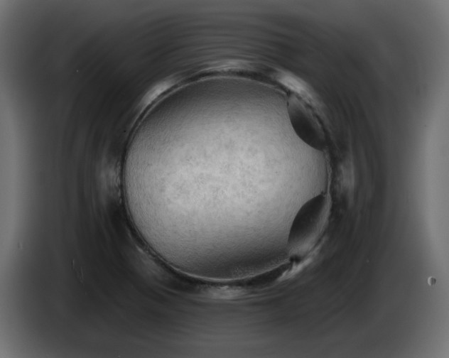 X0000085061321200703051430