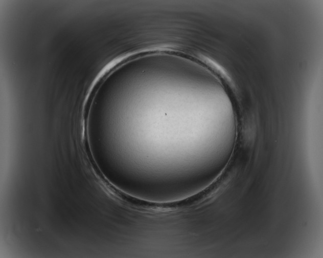 X0000085061324200703051430