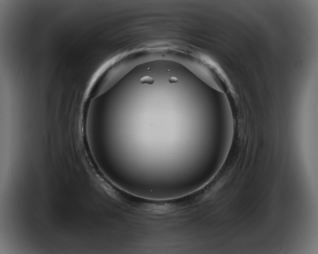 X0000085061328200703051430