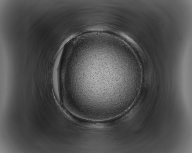 X0000085061329200703051430