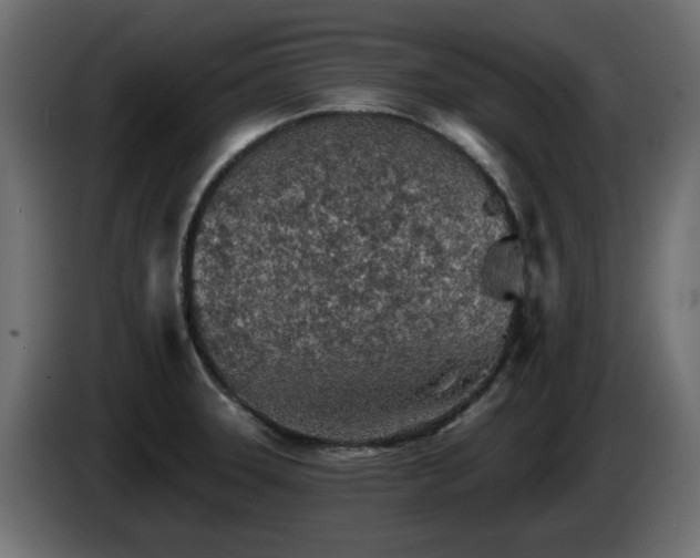 X0000085061331200703051430