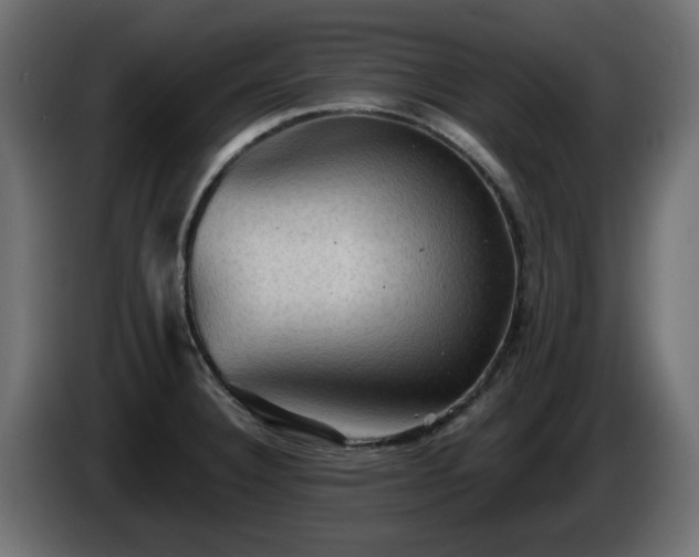 X0000085061332200703051430