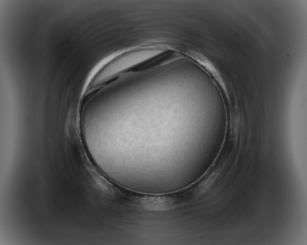X0000085061336200703051430