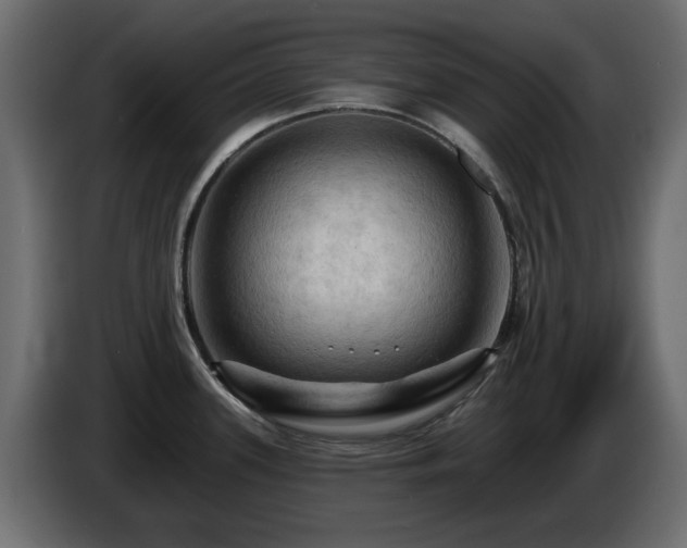 X0000085061339200703051430